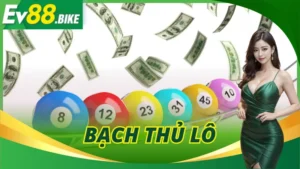 Bạch Thủ Lô